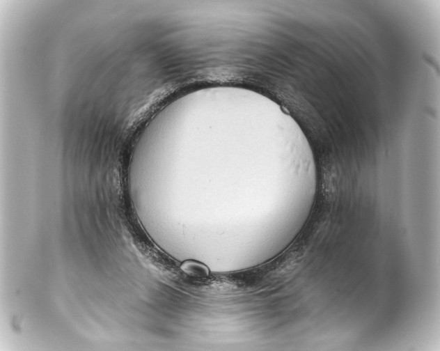 X0000101440256200807281029