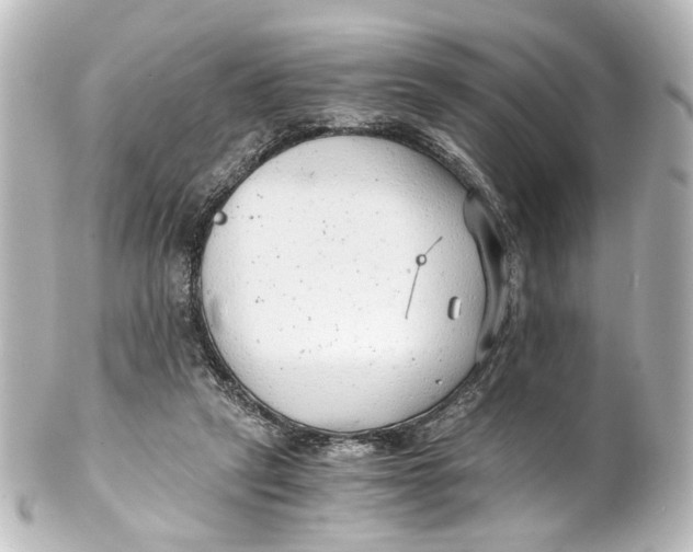 X0000101440257200807281029