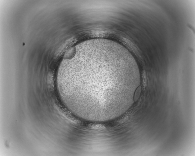 X0000101440258200807281029