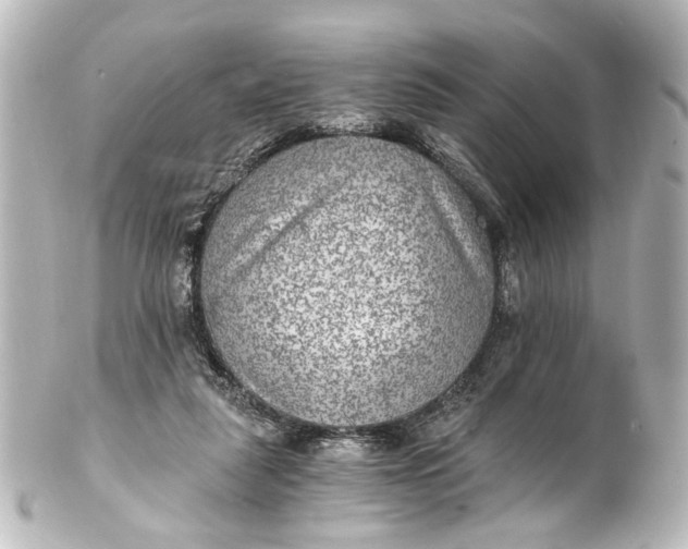 X0000101440259200807281029