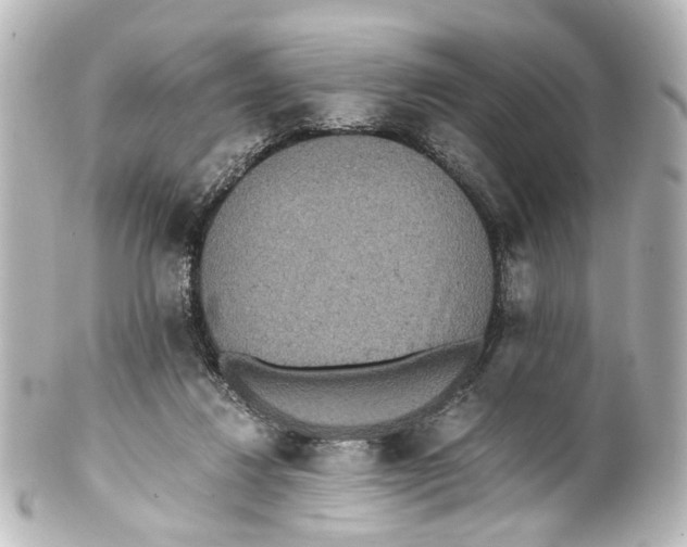 X0000101440260200807281029