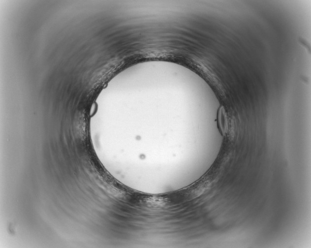 X0000101440261200807281029