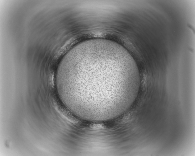 X0000101440262200807281029