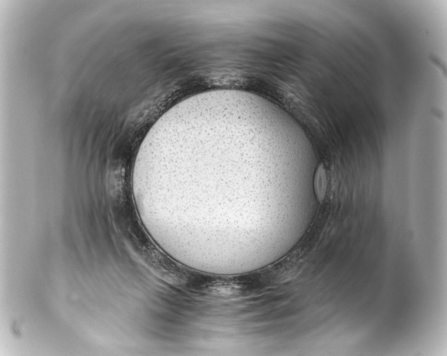 X0000101440263200807281029