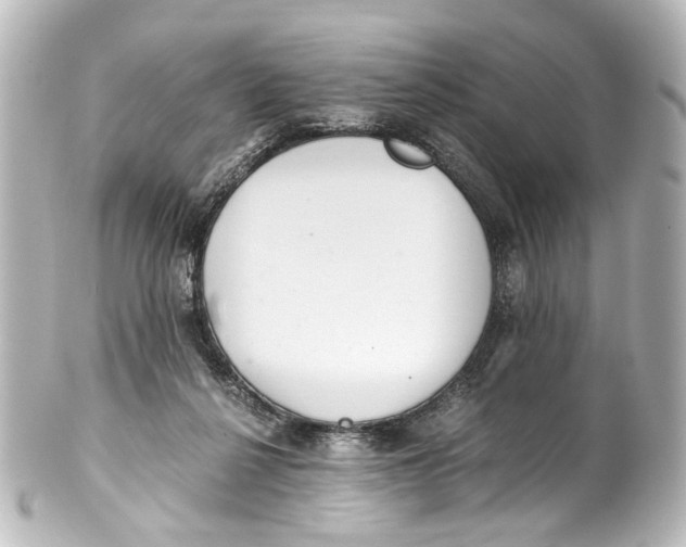 X0000101440264200807281029