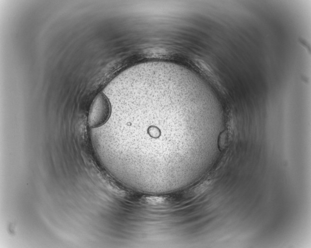 X0000101440265200807281029