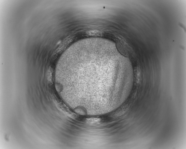 X0000101440266200807281029