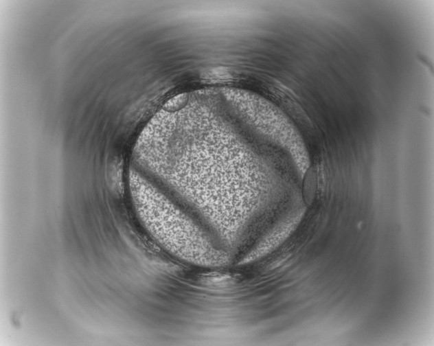 X0000101440267200807281029