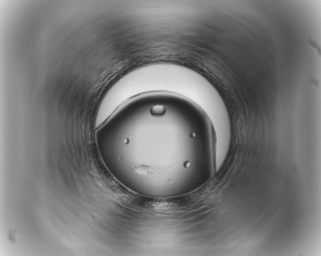 X0000101440268200807281029