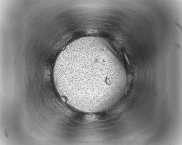 X0000101440269200807281029