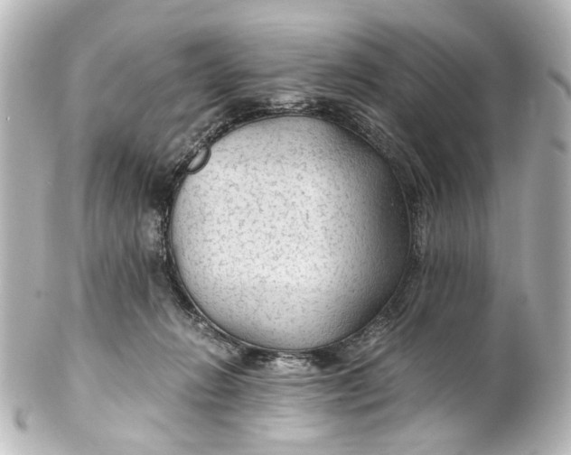 X0000101440270200807281029