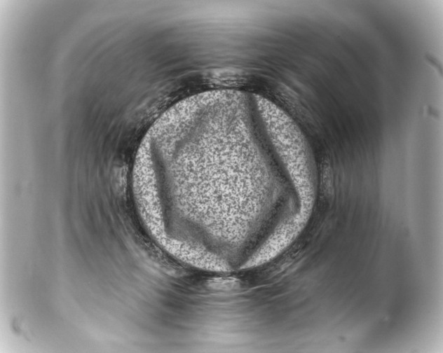 X0000101440271200807281029