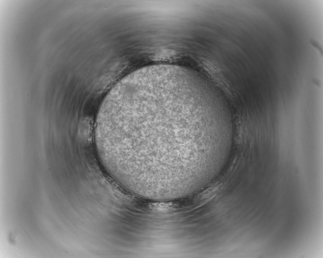 X0000101440273200807281029