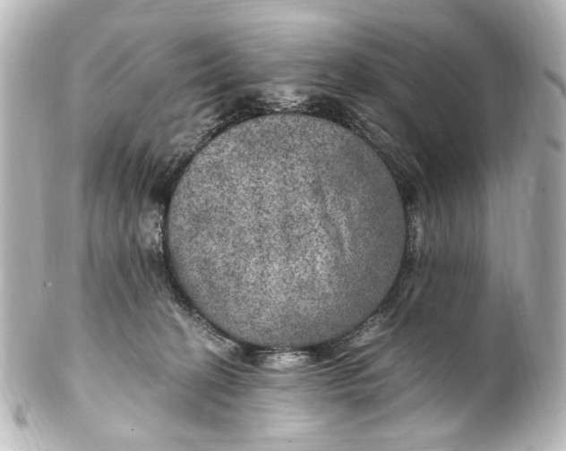 X0000101440274200807281029