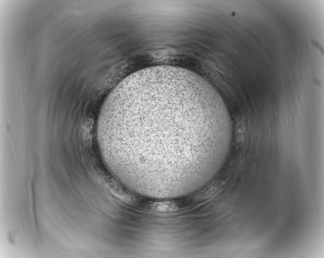 X0000101440275200807281029