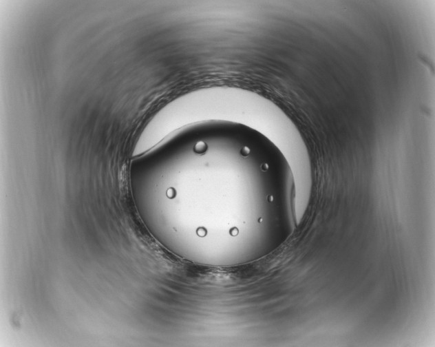 X0000101440276200807281029