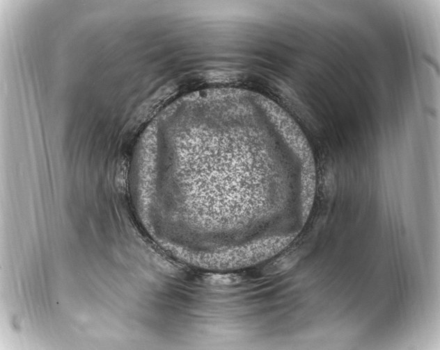 X0000101440277200807281029