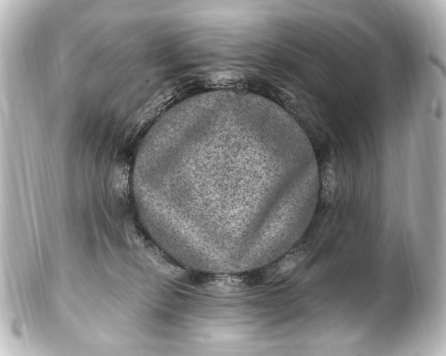 X0000101440278200807281029