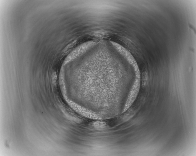 X0000101440279200807281029