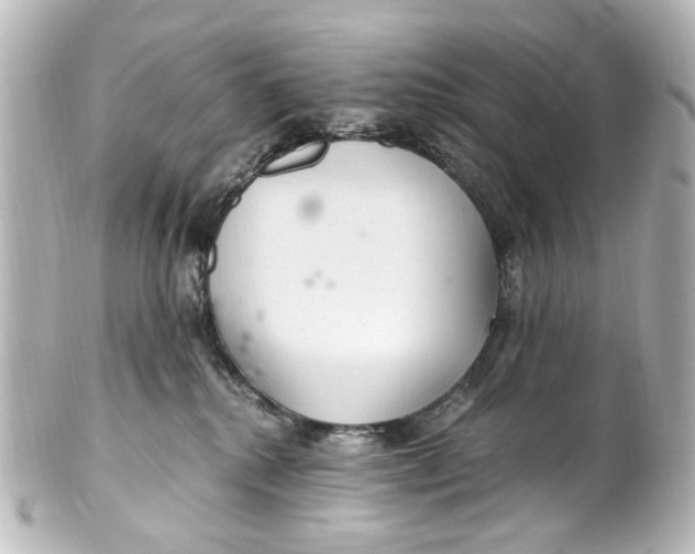 X0000101440280200807281029