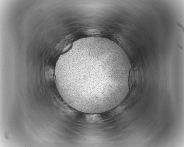 X0000101440281200807281029