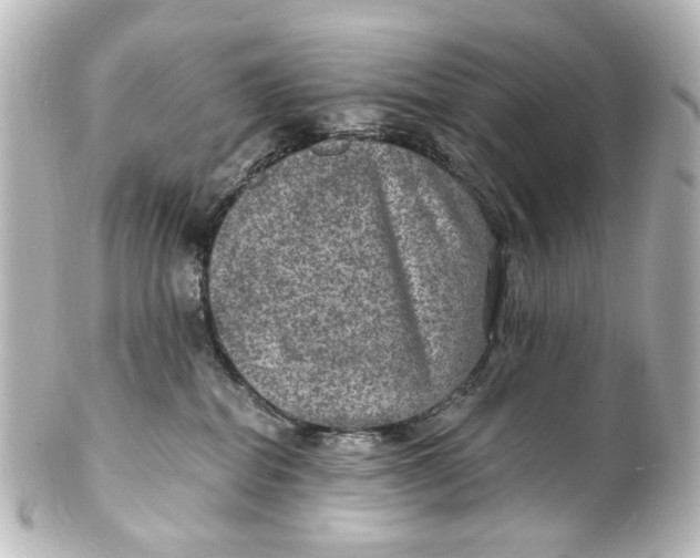 X0000101440282200807281029