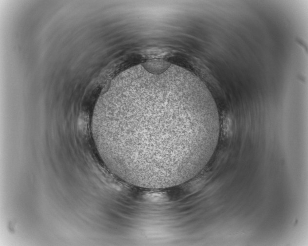 X0000101440283200807281029