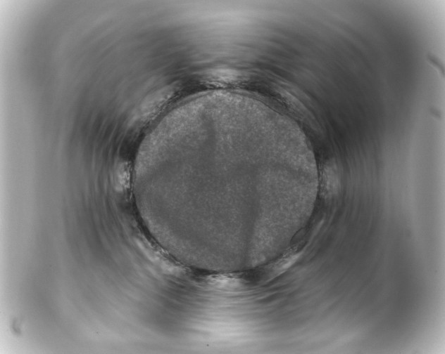 X0000101440284200807281029