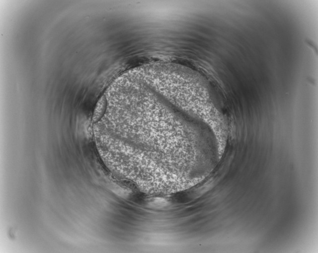 X0000101440285200807281029