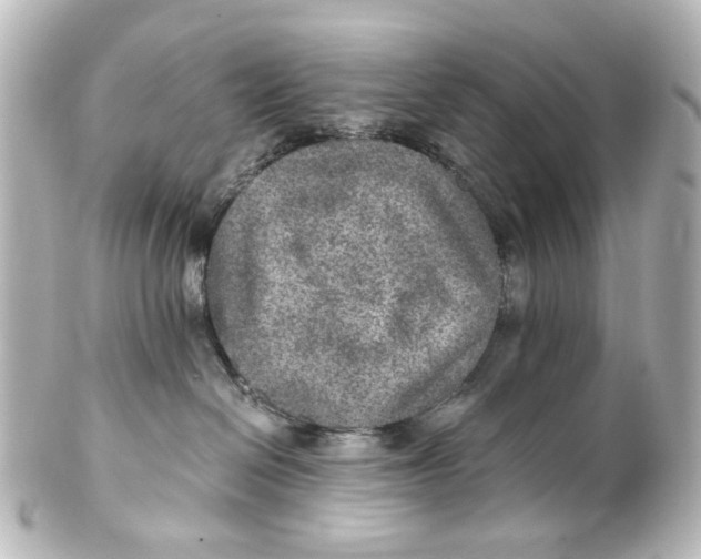 X0000101440286200807281029