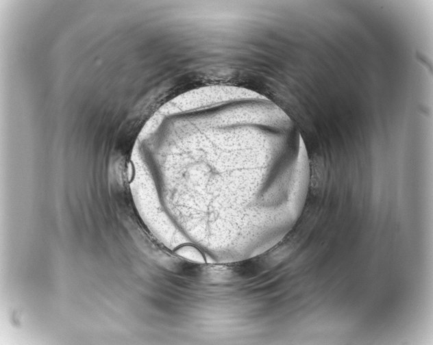 X0000101440287200807281029