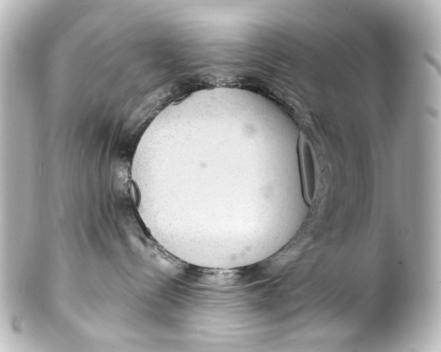 X0000101440288200807281029