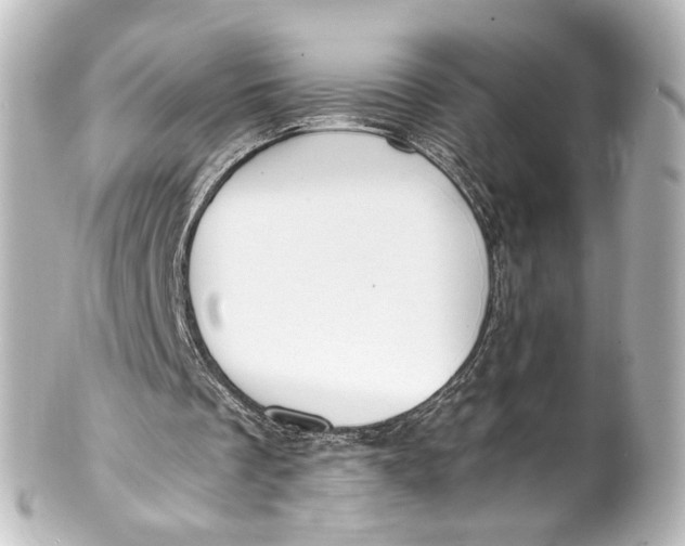 X0000101440289200807281029