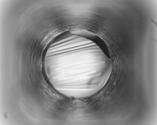 X0000101440290200807281029