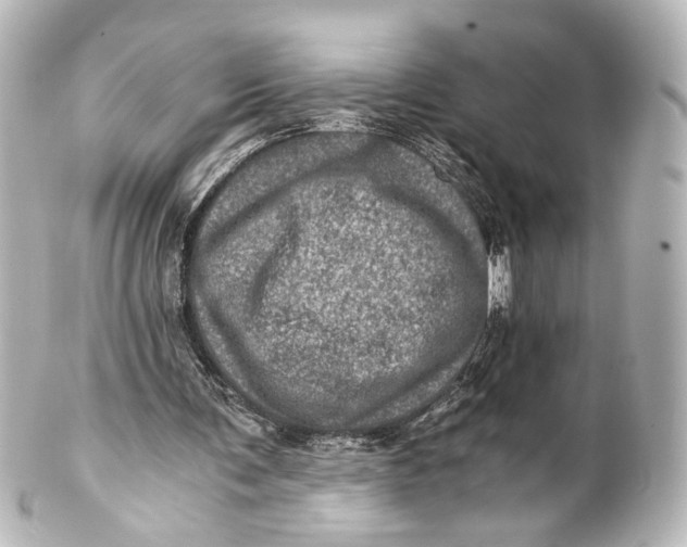 X0000101440291200807281029