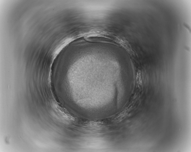 X0000101440292200807281029