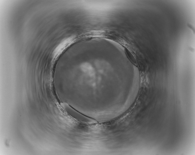 X0000101440293200807281029