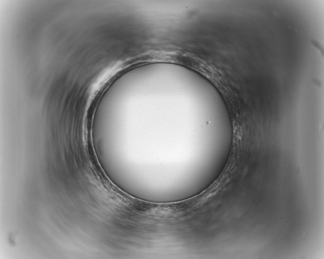 X0000101440294200807281029