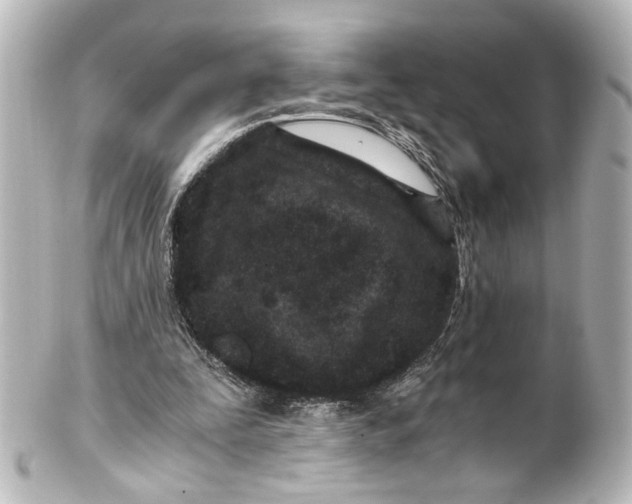 X0000101440295200807281029