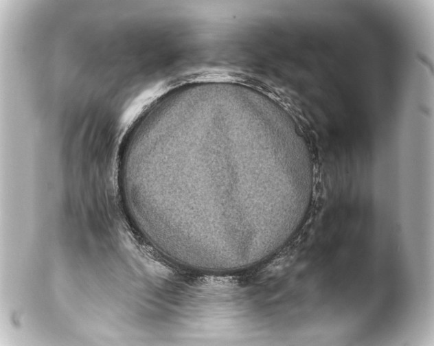 X0000101440296200807281029