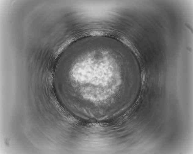 X0000101440297200807281029