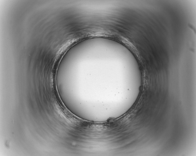 X0000101440298200807281028