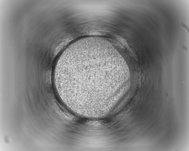 X0000101440299200807281028