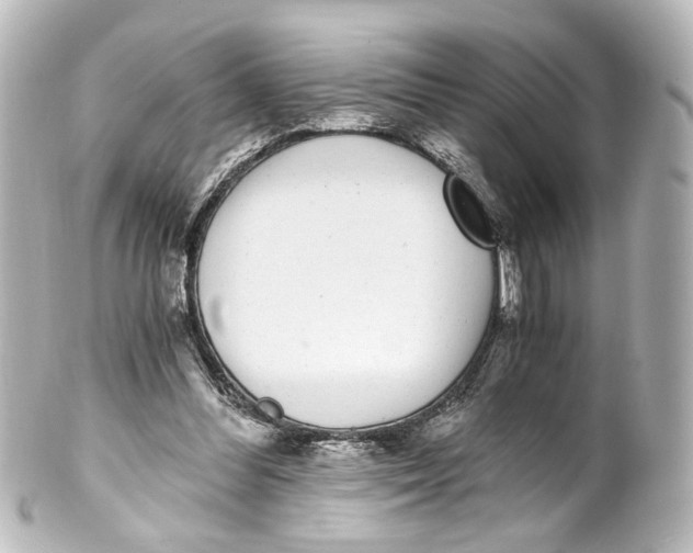 X0000101440300200807281028