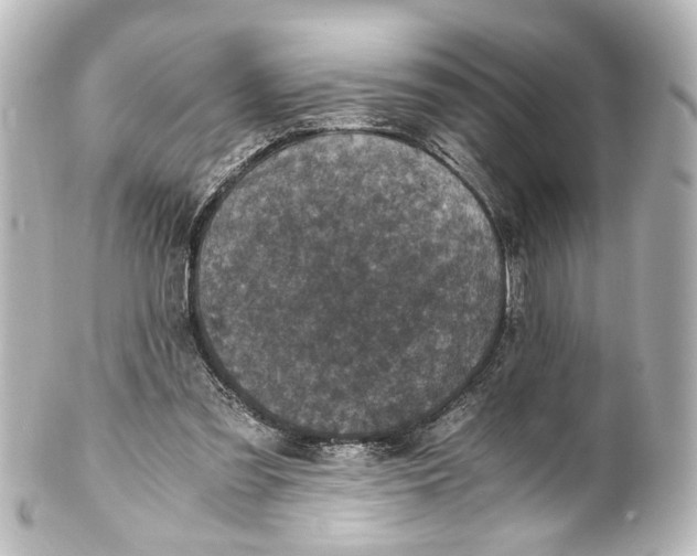 X0000101440301200807281028