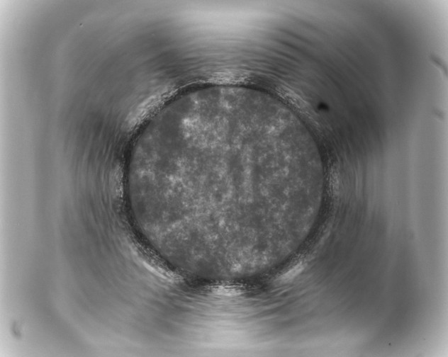 X0000101440303200807281028