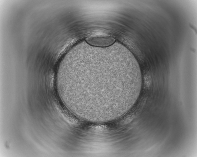 X0000101440304200807281028