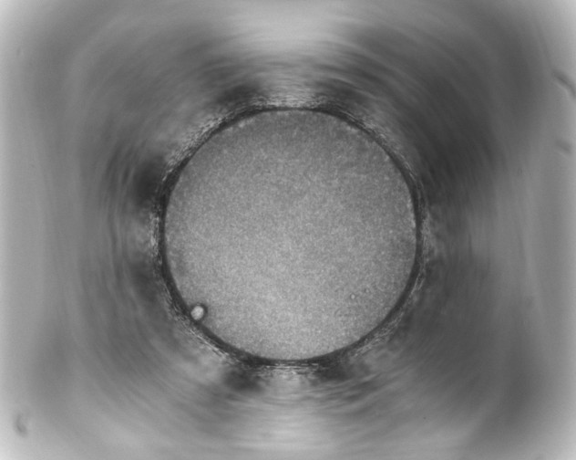 X0000101440305200807281028