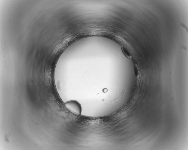 X0000101440306200807281028