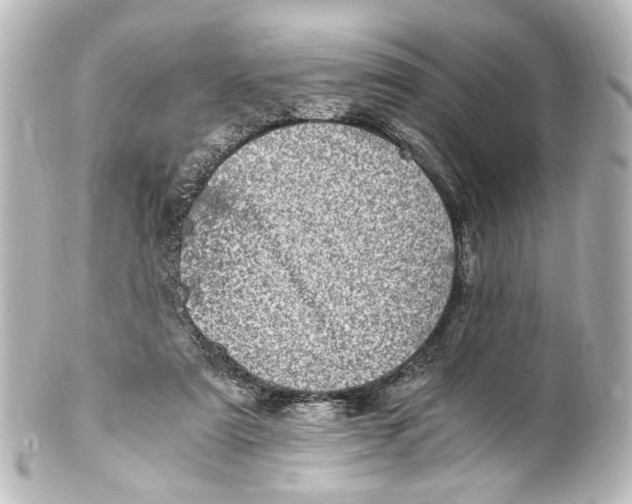 X0000101440307200807281028